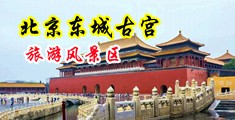 美女的大鸡鸡操逼叫男人过来操逼的视频中国北京-东城古宫旅游风景区